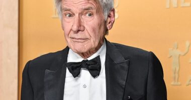 Harrison Ford landed his first-ever Emmy Award nomination for his performance as Dr. Paul Rhoades in the second season of Apple TV+ series Shrinking on Tuesday - just two days after celebrating his 83rd birthday (pictured February 23)