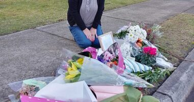 Full-time carer Tracey Jean, 56, (pictured) rushed to cradle the two-year-old boy after the crash and shielded the youngster from seeing his dying grandparents