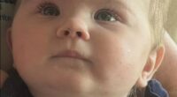 An infant girl was abandoned in a car seat on a stranger's front lawn during 100-degree heat. Hours later, four people were found dead late. The two incidents are believed to be connected