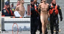 He let it all hang out: A man ditched his clothes in NYC  before hijacking a dinghy and going for a joyride, police said