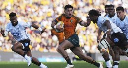 Noah Lolesio (centre) is expected to be ruled out of selection for the British and Irish Lions tour Down Under, in what is a huge blow for Joe Schmidt's Wallabies side