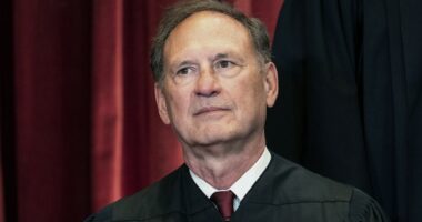 Here We Go: Federal Judge Creates Nationwide Class to Block Trump's Birthright Citizenship EO