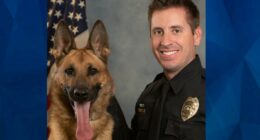 Hero Police Officer Sean Houle Shot in Face, Survives to Help Save Drowning Victim