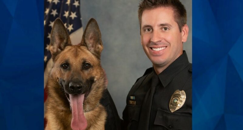 Hero Police Officer Sean Houle Shot in Face, Survives to Help Save Drowning Victim