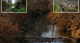 Higher cancer rates linked to WWII waste in Midwestern creek