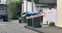 Emergency services were called to an address on Renall Street in Freeman's Bay, Auckland, about 10pm on Tuesday