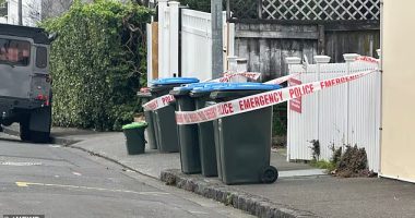 Emergency services were called to an address on Renall Street in Freeman's Bay, Auckland, about 10pm on Tuesday