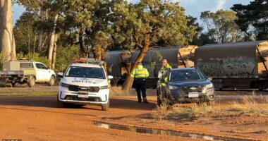 Police are pictured at the scene of the crash in Albany, WA on Wednesday afternoon