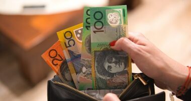 The Reserve Bank of Australia has suggested scrapping debit and credit card surcharge fees