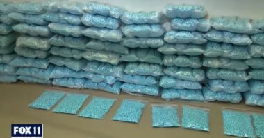 Insane: Rhode Island Politicians Angry Because ICE Arrests MS-13 Fentanyl Dealer