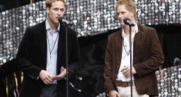 Prince William and Prince Harry organised the 'epic concert', which had taken seven months of intensive planning, to commemorate the tenth anniversary of their mother's death