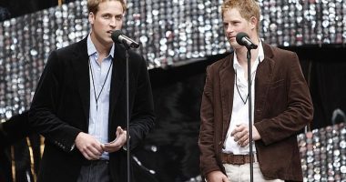 Prince William and Prince Harry organised the 'epic concert', which had taken seven months of intensive planning, to commemorate the tenth anniversary of their mother's death