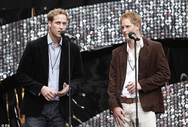 Prince William and Prince Harry organised the 'epic concert', which had taken seven months of intensive planning, to commemorate the tenth anniversary of their mother's death