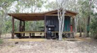 Rangers discovered cleared vegetation and felled trees around an illegal hut site within a heritage-listed park (pictured)