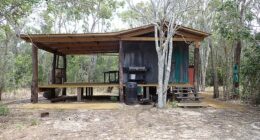 Rangers discovered cleared vegetation and felled trees around an illegal hut site within a heritage-listed park (pictured)