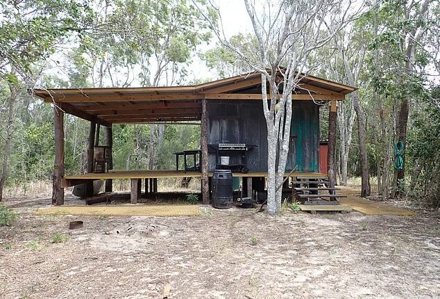 Rangers discovered cleared vegetation and felled trees around an illegal hut site within a heritage-listed park (pictured)