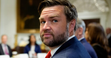 JD Vance Is Stuck With A Brutal Nickname After His Cringe Disneyland Jog
