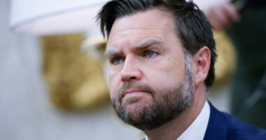 JD Vance's Immature Bluesky Post Is A Gut-Punch To Wife Usha & Their Marriage
