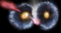 The international team of astronomers reports the detection of a peculiar merger of two similar ring galaxies that morphologically resemble an owl's face