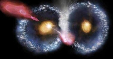 The international team of astronomers reports the detection of a peculiar merger of two similar ring galaxies that morphologically resemble an owl's face