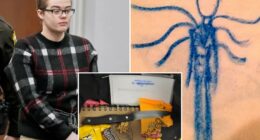 Judge OKs release plan for woman who stabbed a classmate to please Slender Man