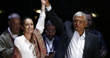 Just So We're Clear Here - Mexico Threatening to Sue US Over Illegal Who Dove Off Pot Farm Roof