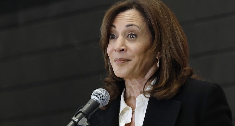 Kamala Harris Accidentally Confirms Her Icy Jill Biden Feud Isn't Swept Under The Rug