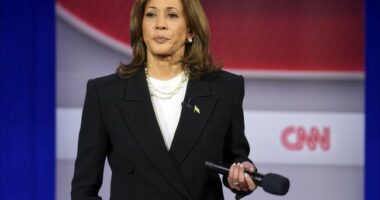 Kamala Harris Will Not Run for Governor of California (However...)