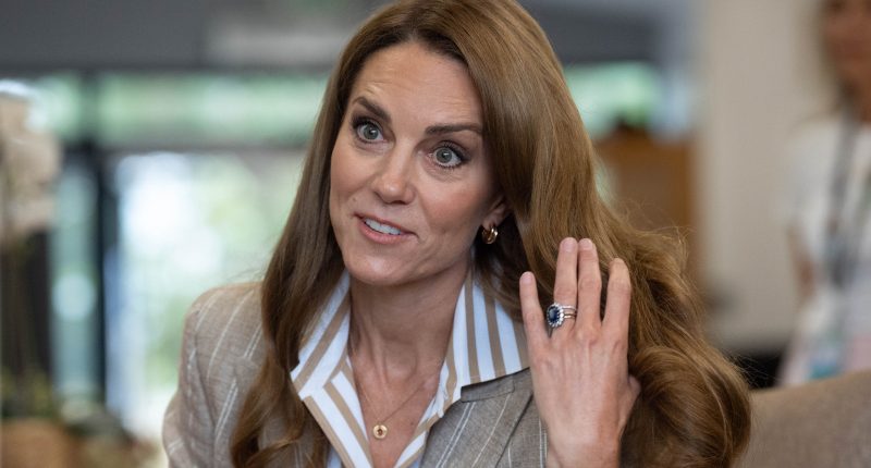 Kate Middleton Accidentally Flaunts A More Natural Hair Look After Royal Outing Goes Awry