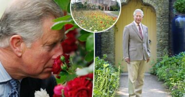 King Charles sees 11 of his 12 ‘overwhelmed and underpaid’ gardeners quit Highgrove over demands