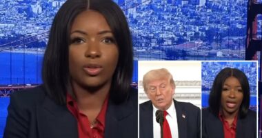 Lefty Rep. Jasmine Crockett dubs Trump a ‘wannabe Hitler’ over Epstein files drama