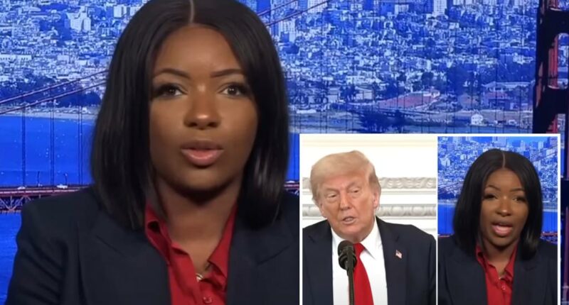 Lefty Rep. Jasmine Crockett dubs Trump a ‘wannabe Hitler’ over Epstein files drama