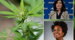 Legal NY pot sellers fume over latest Albany cannabis screw up  — which they fear could cost them millions and snuff out their businesses