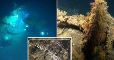 Long-lost bow of WWII ship found nearly 83 years after it was blown off in Japanese torpedo strike