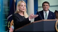 MAGA influencers and personalities are calling on Attorney General Pam Bondi to resign as the Justice Department closed its case on Jeffrey Epstein this week without revealing any new information