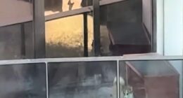 Melbourne woman Helia Abdollahi shared footage of the little corgi pacing around in circles while trapped on an apartment balcony in the city's CBD