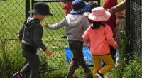 A male childcare worker employed by the same company as accused paedophile Joshua Brown has been charged with a series of child sex offences (stock image)