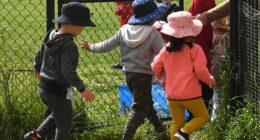 A male childcare worker employed by the same company as accused paedophile Joshua Brown has been charged with a series of child sex offences (stock image)