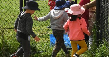 A male childcare worker employed by the same company as accused paedophile Joshua Brown has been charged with a series of child sex offences (stock image)