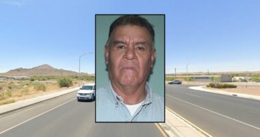 Man didn't stop after killing woman with truck 'because he was tired,' police say