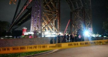 Man shot in the face by moped-riding hooligans at NYC park