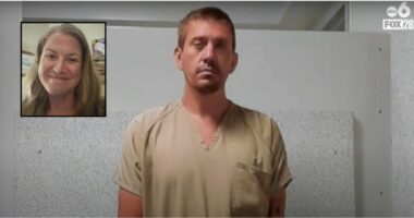 Man who strangled girlfriend to death after having 'dragged' her inside the previous night had past involving domestic violence: Police