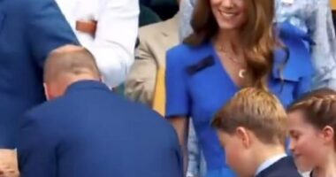 Matthew McConaughey has been praised by Wimbledon fans for his sweet gesture to the Royal Family on Sunday, because he stood up when the family arrived (pictured)