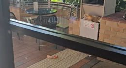 The McDonalds dining room and outdoor area were both covered in rubbish from customers