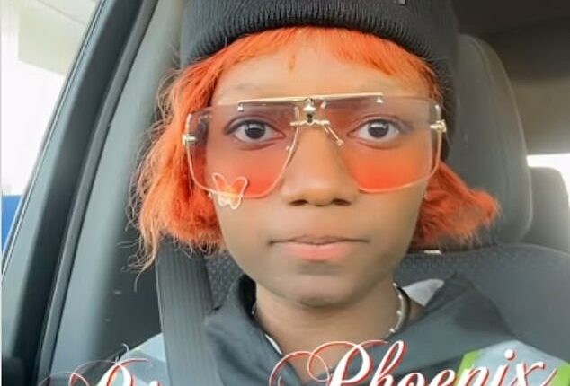 Afeni Muhammad, 26, posted a video claiming her boss was bullying her a day before she stabbed her to death in the McDonald's they worked at in Michigan