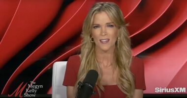 Megyn Kelly openly suggested that President Donald Trump may have 'blessed' a cover-up of the Jeffrey Epstein files in what is a pivot from her previous public defenses of Trump