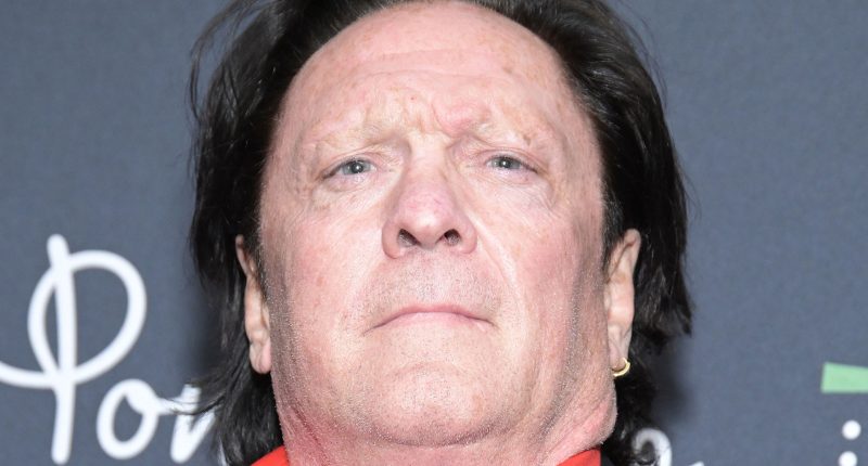 Michael Madsen was ‘ready for rehab’ & feared ‘losing his home’ before death