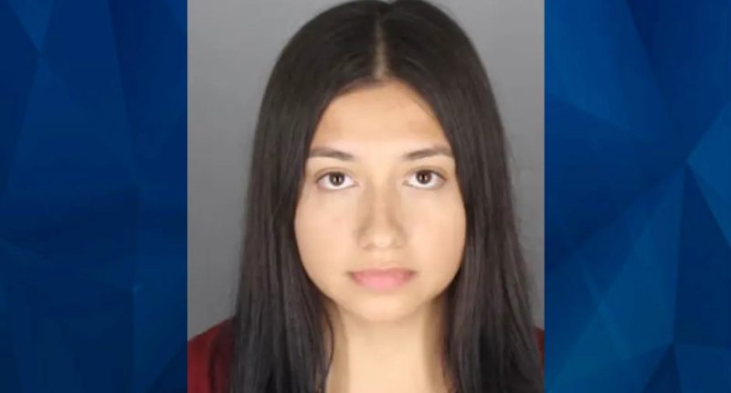 Michigan Charter School Teacher Arrested After Telling Co-Worker About Sex with Student