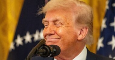 Miranda Devine: Trump wins the Epstein battle — as the left, media foolishly believe prez on the skids