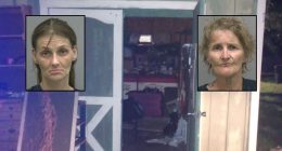 Mom ate entire 'footlong sandwich' meant to be shared with malnourished kids, then locked them in a dark shed near a highway so she could run a 'quick errand,' police say